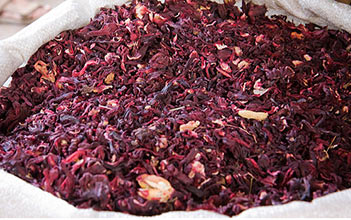 Jamaican Sorrel