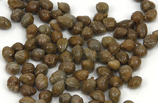 Capers