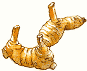 Galangal