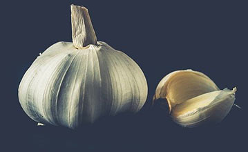Garlic