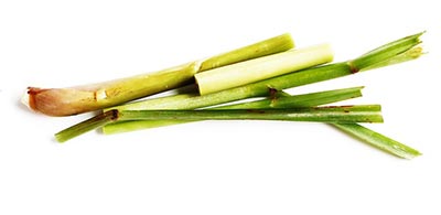 Lemongrass