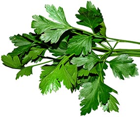 Parsley