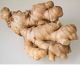 Ginger