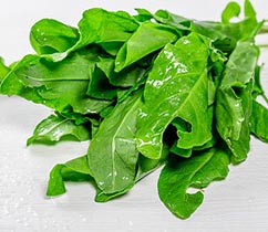 Sorrel