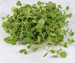 Watercress