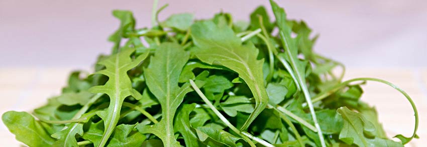 Arugula