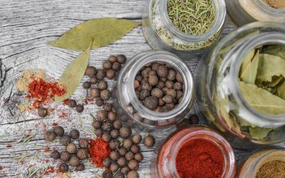 How to Start Your First Fresh Herb Garden
