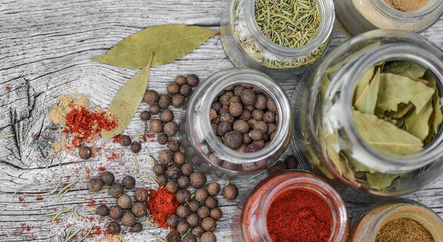 How to Start Your First Fresh Herb Garden